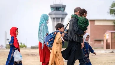 جمع‌آوری اتباع غیر مجاز در استان فارس