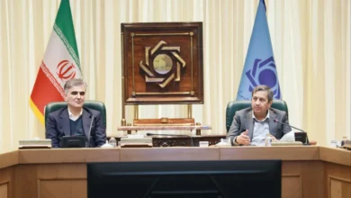 همتی جانشین محمدرضا فرزین شد