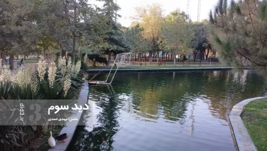 حوض پارک ملت قزوین | عکس: مهدی ترکمان اسدی